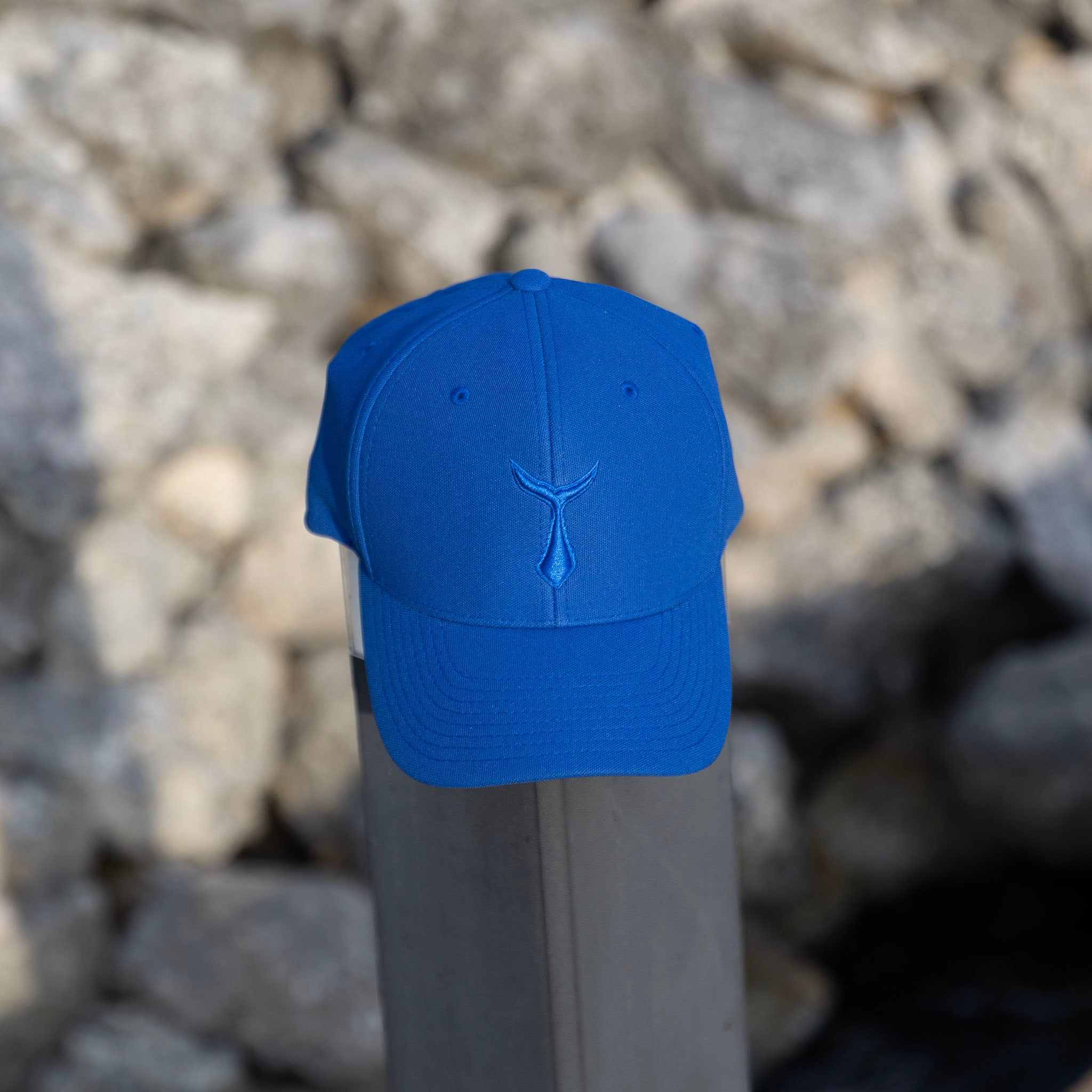 Pro Cap | Flexfit 110P