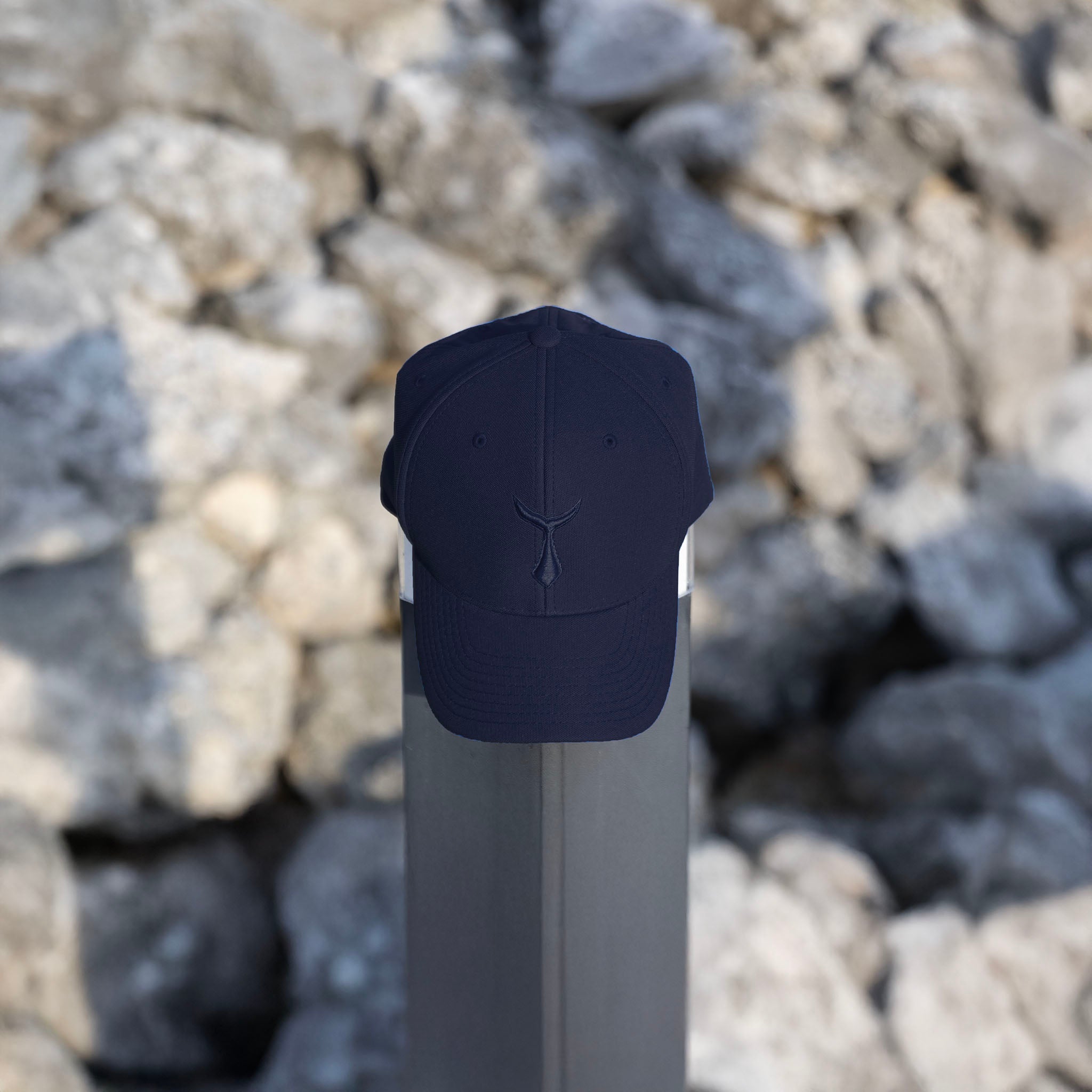 Pro Cap | Flexfit 110P