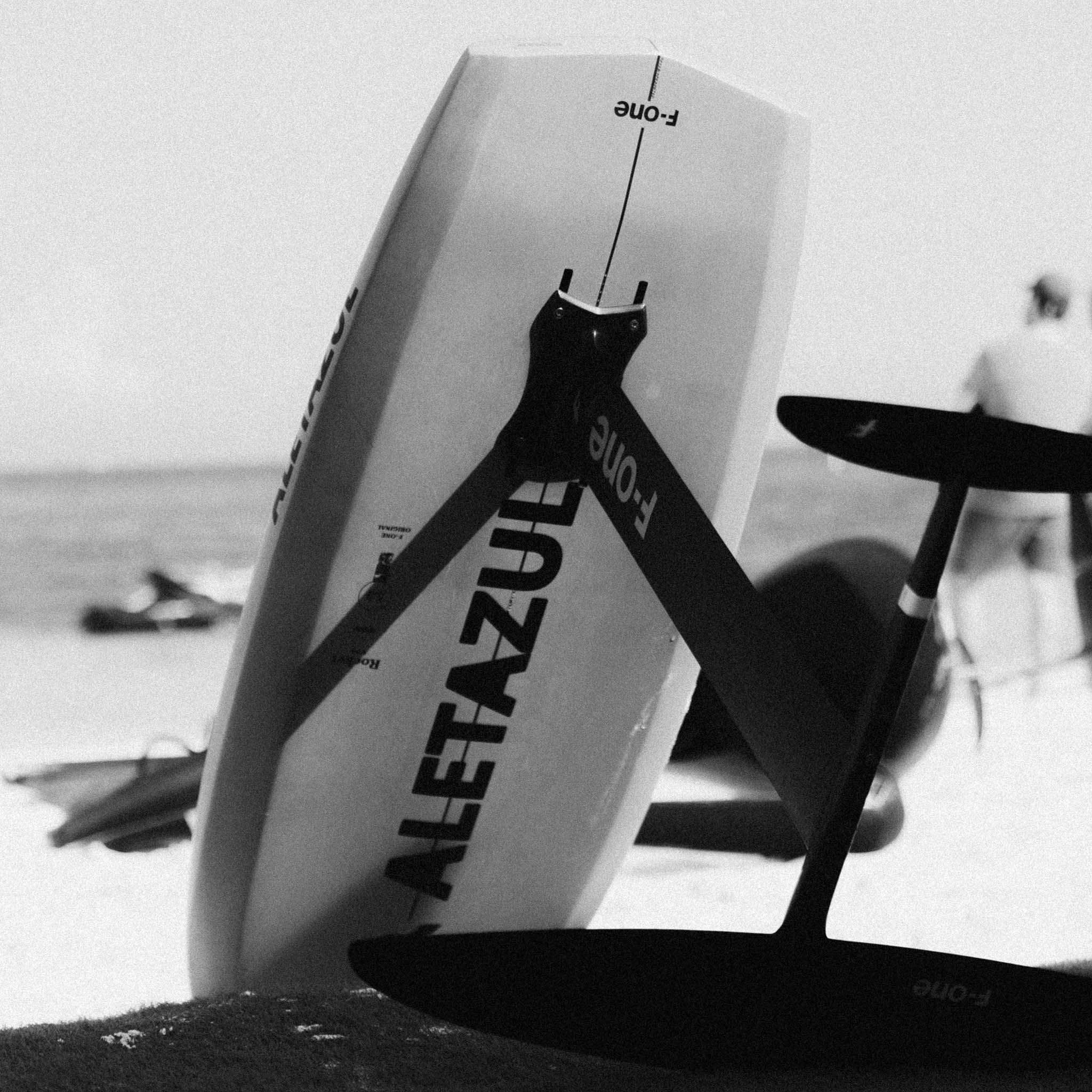 Estampa ALETAZUL | Recorte en vinil