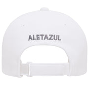 ALETAZUL Pro Cap | Flexfit 110P