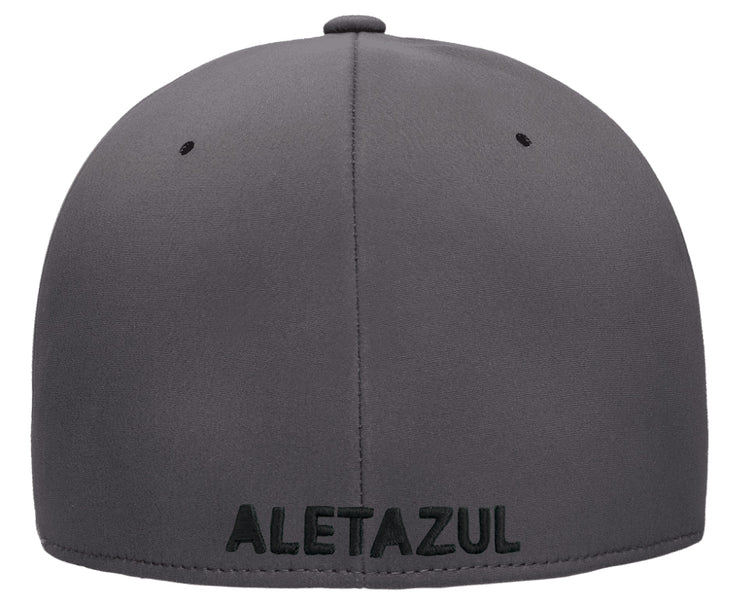 ALETAZUL Delta-Pro Cap | Flexfit (Dark Gray)